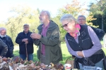 20211009 Foret de Camors AMPM (19)